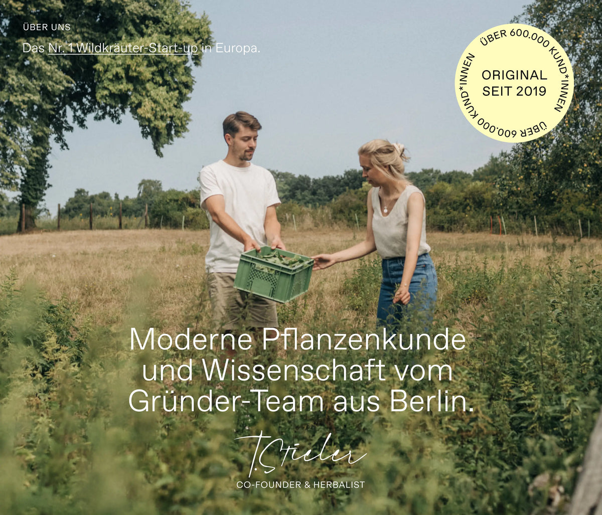 Alle Fünf