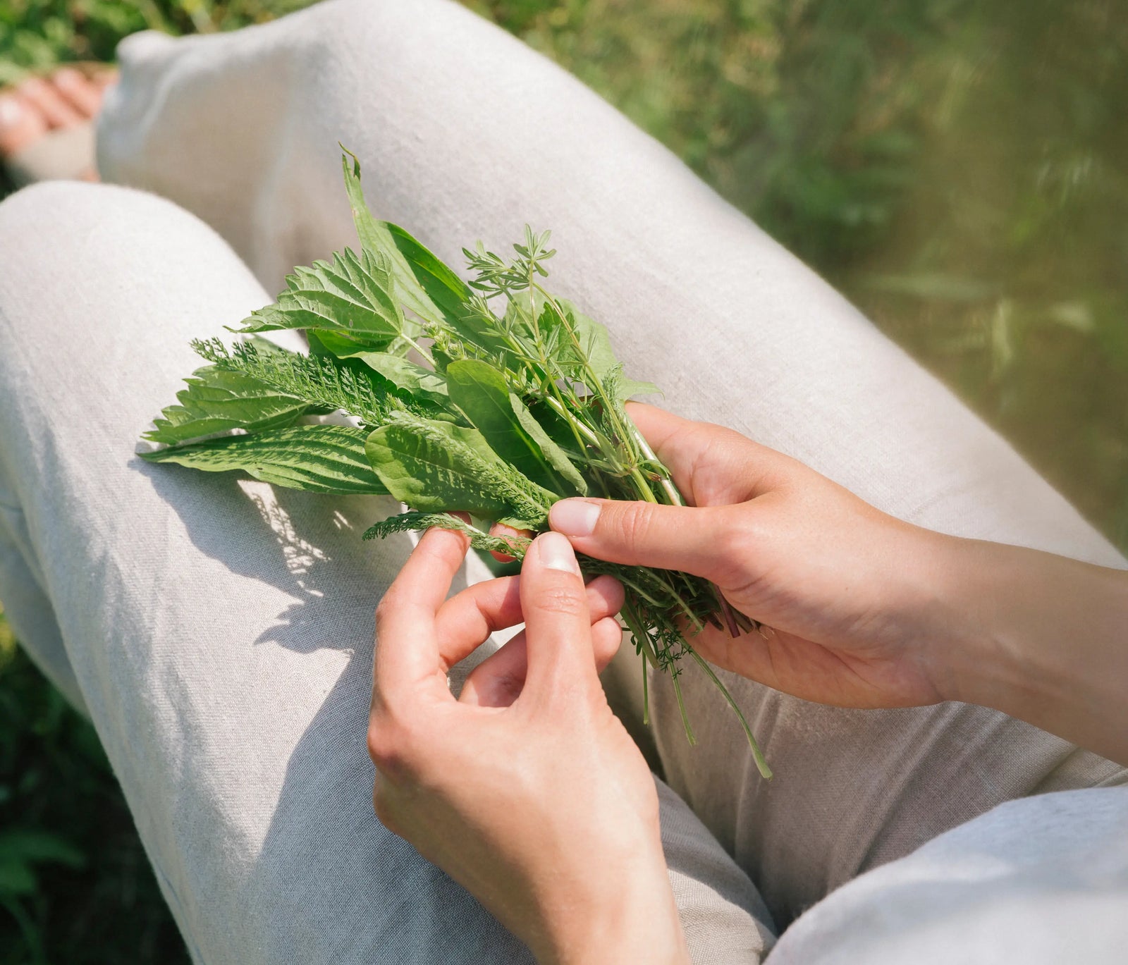 Magen und Darm Gesundheit Workshop am 15.11.