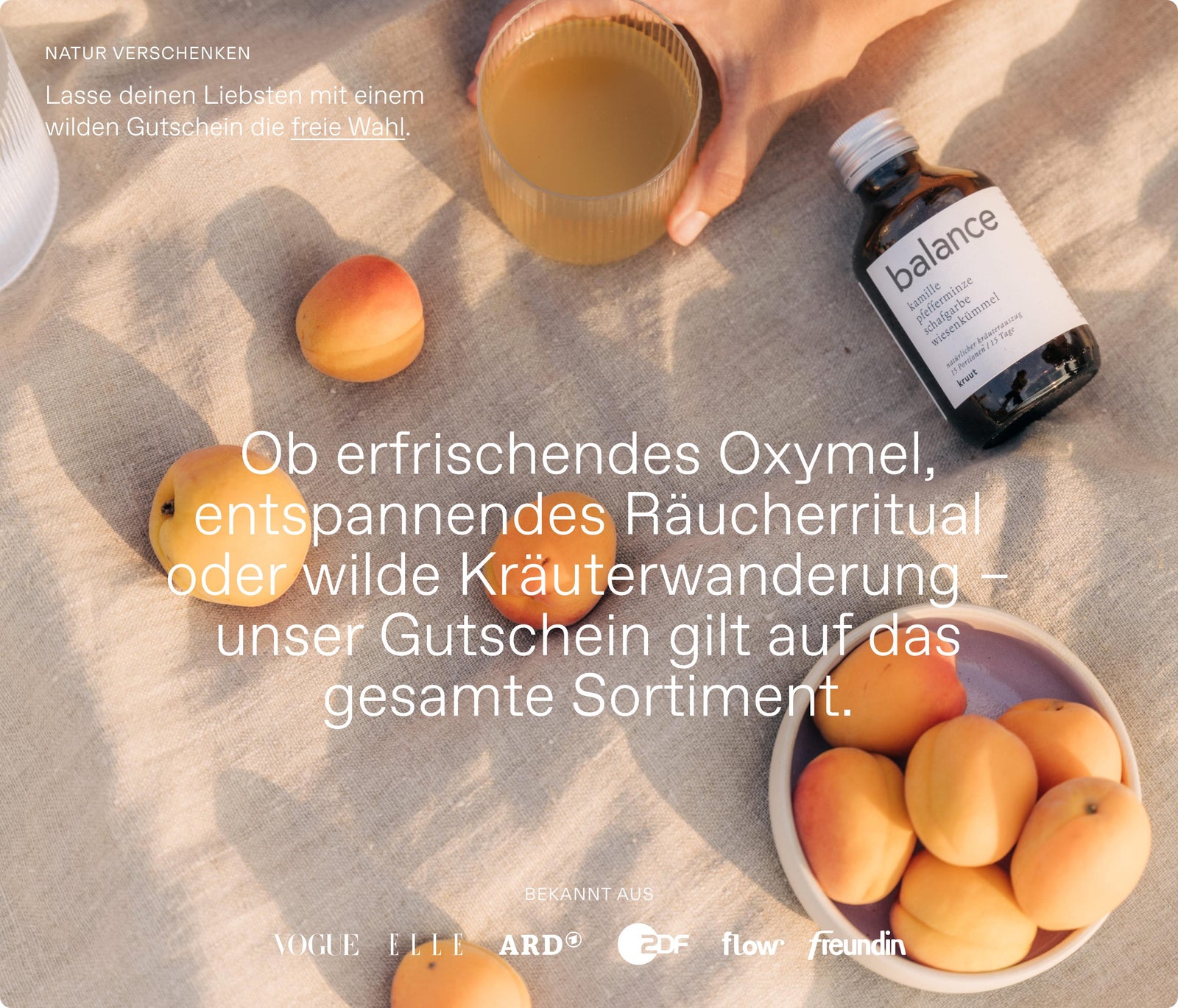 Wilder Gutschein