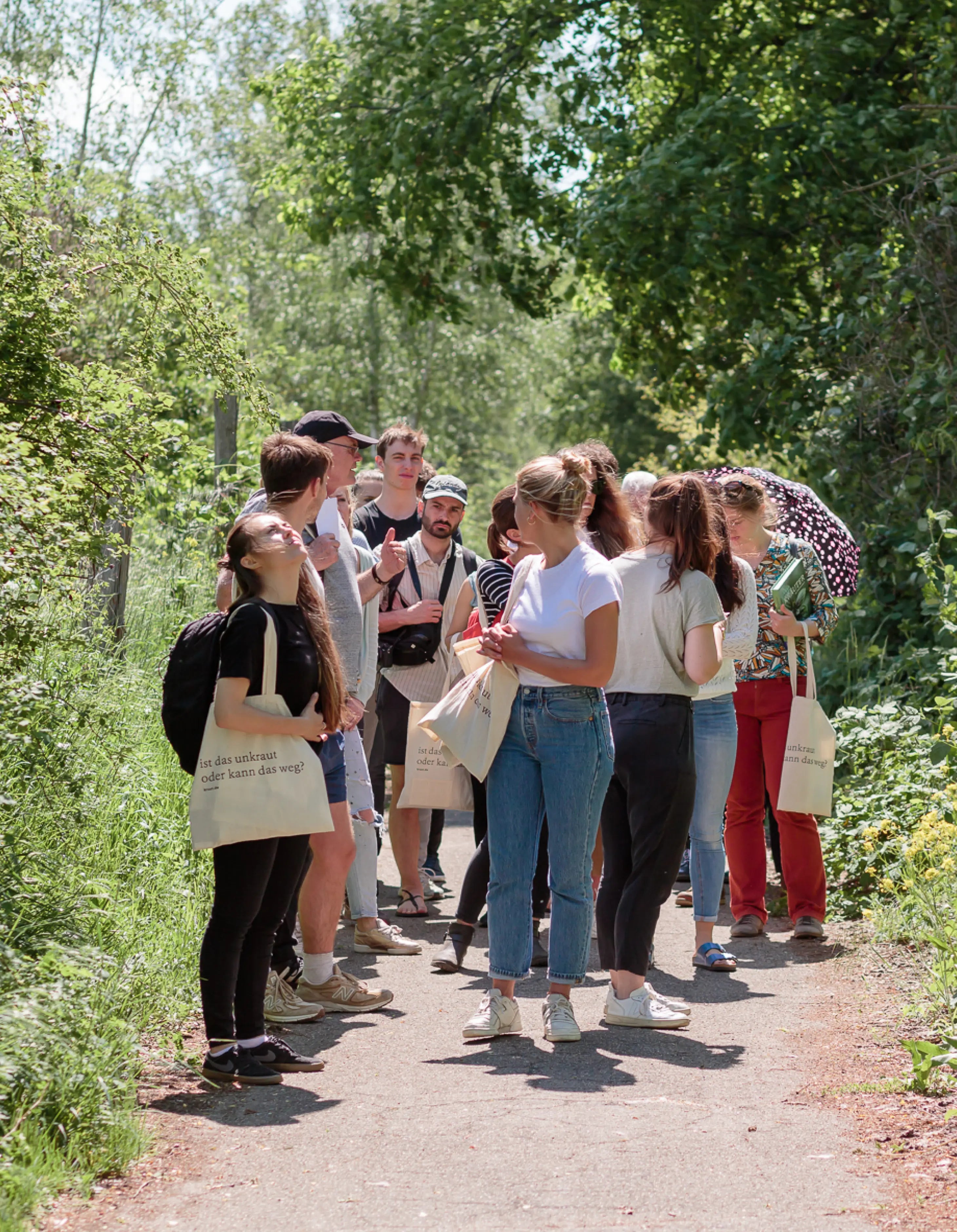 Wildkräuterwanderung Berlin 8.5.