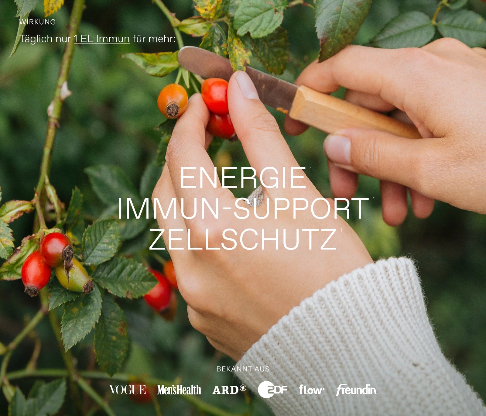 Oxymel Immun