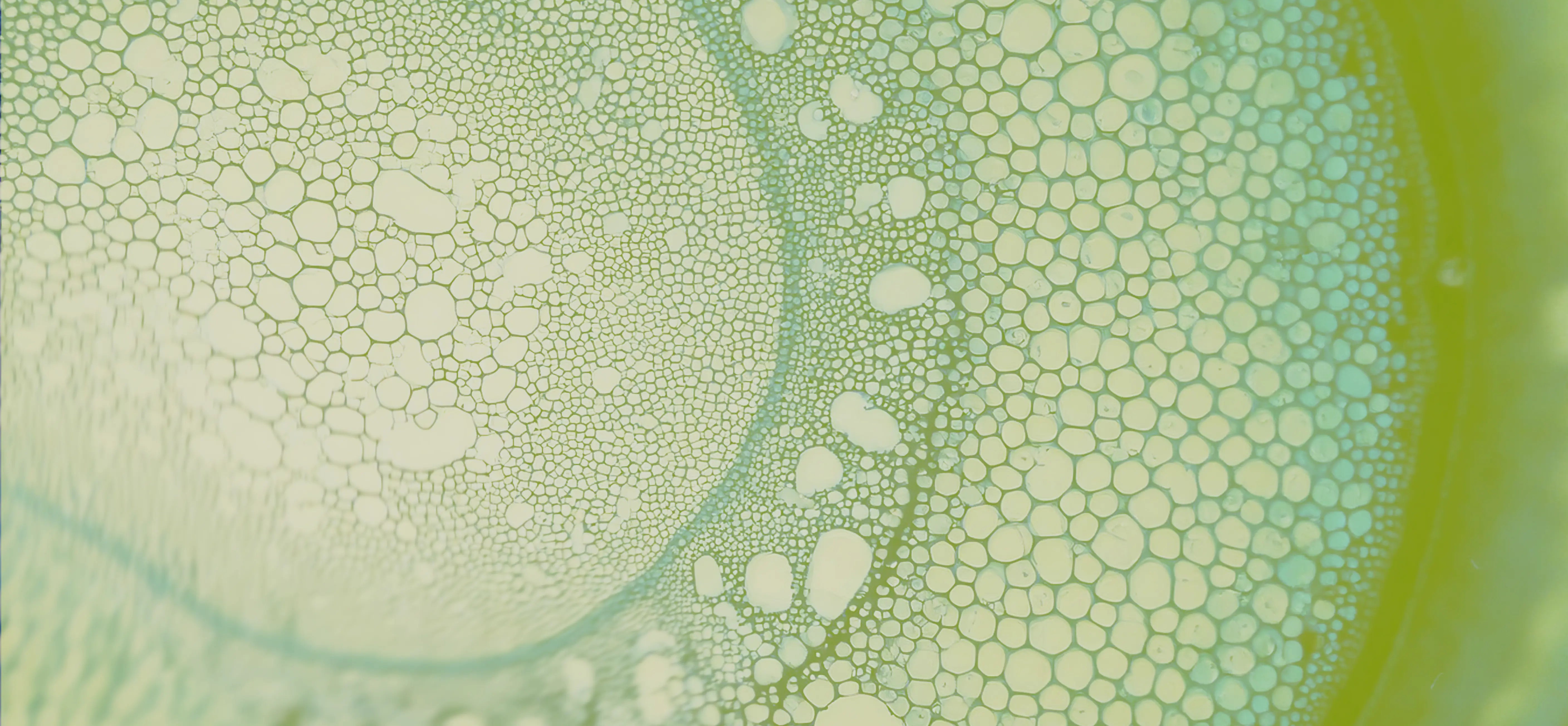 science+plants image