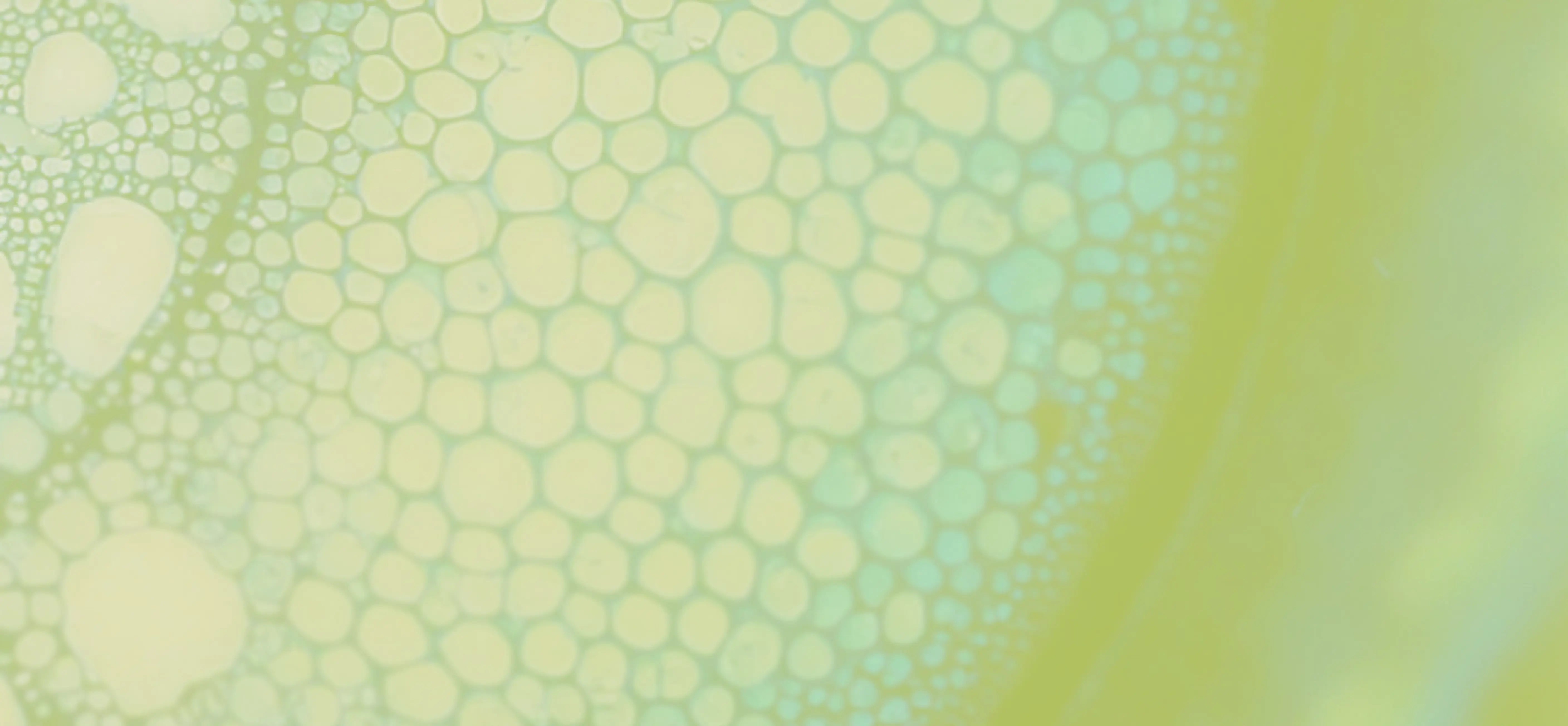 science+plants image