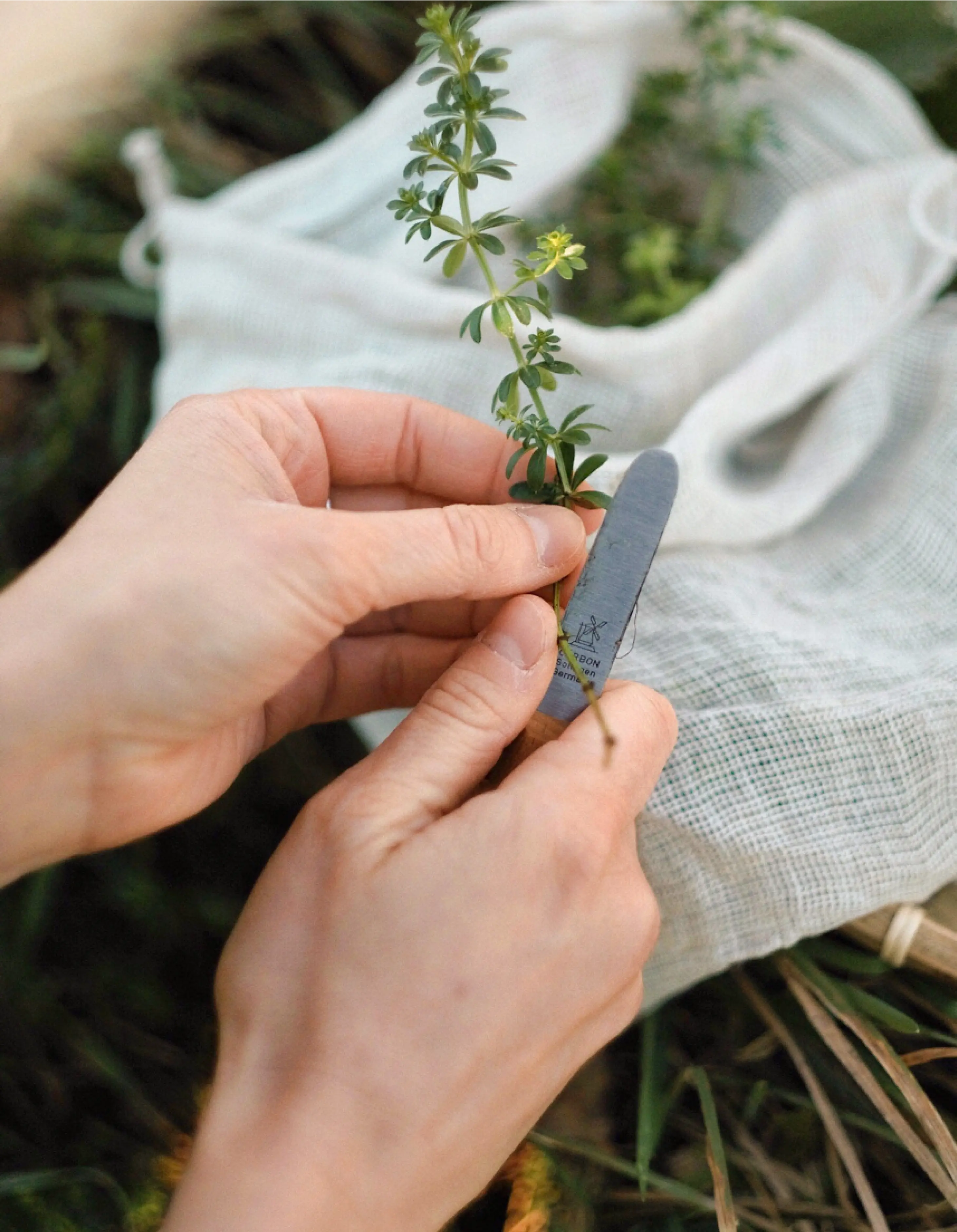 Kräutermesser mit Leinenhülle