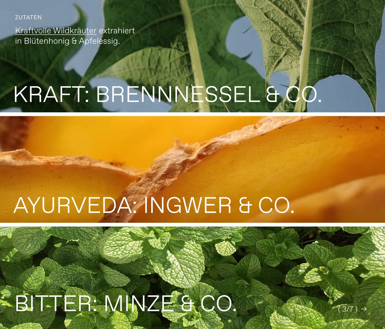 Hydration-Summer-Set