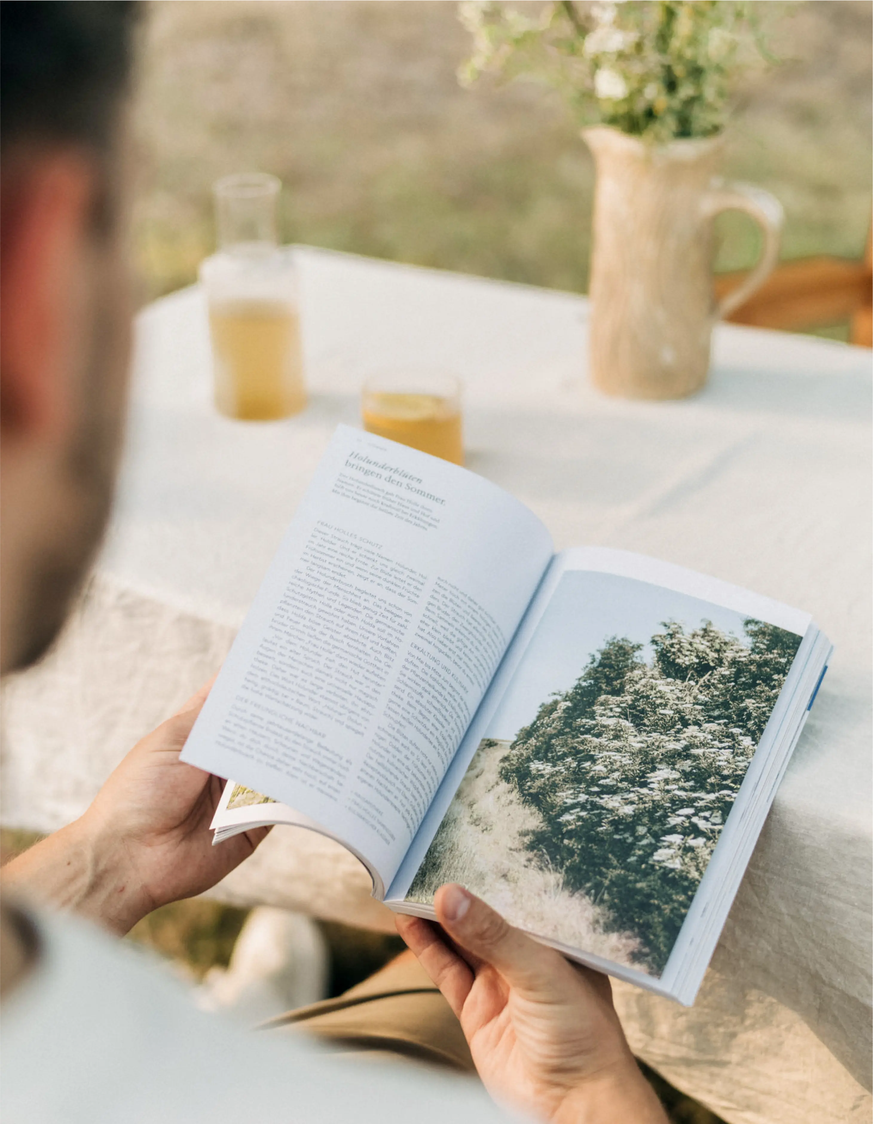 Wildpflanzen im Alltag