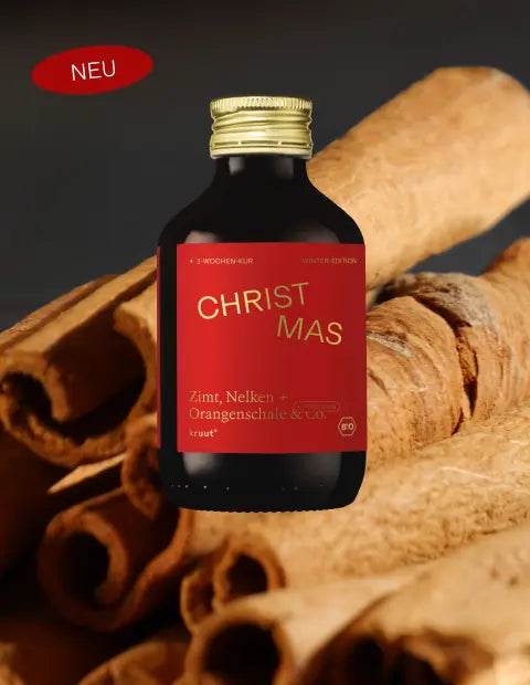 Christmas Oxymel