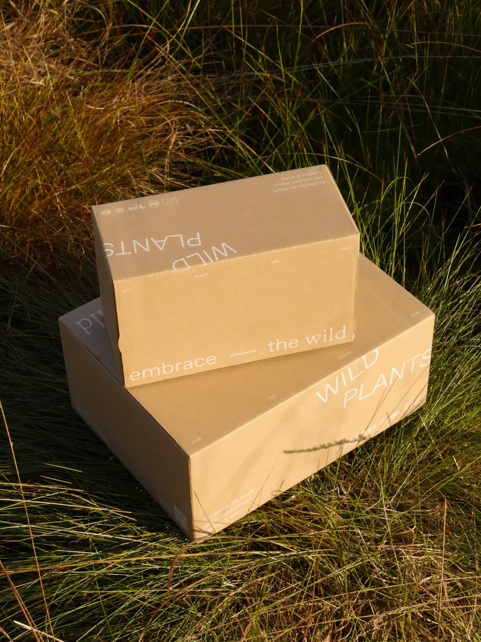 Black Friday: Warum wir als nachhaltige Brand mitmachen