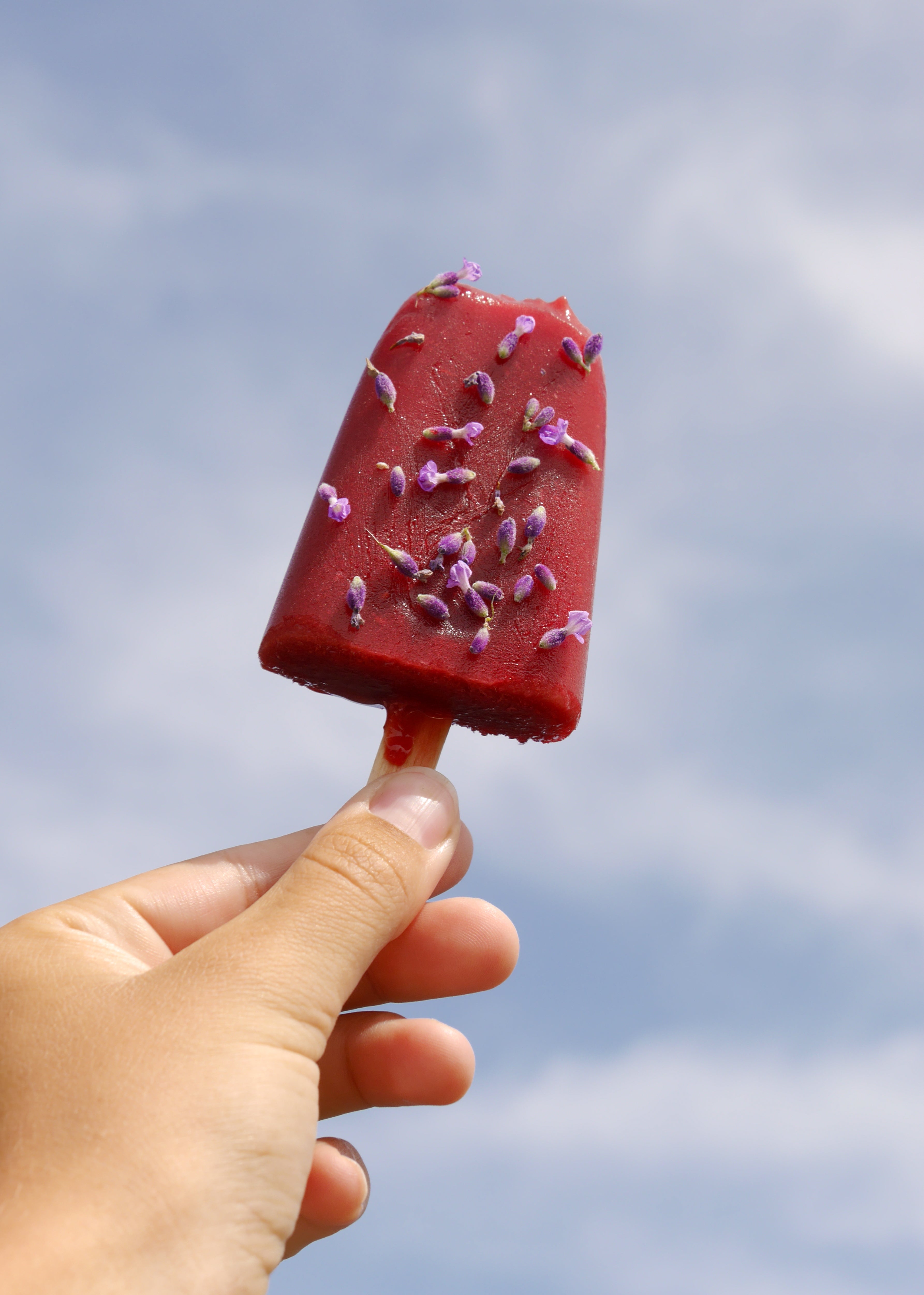 Sommer-Genuss – Lavendel Eis