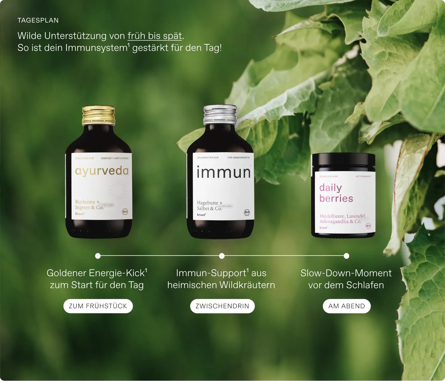 Immun-Routine-Set