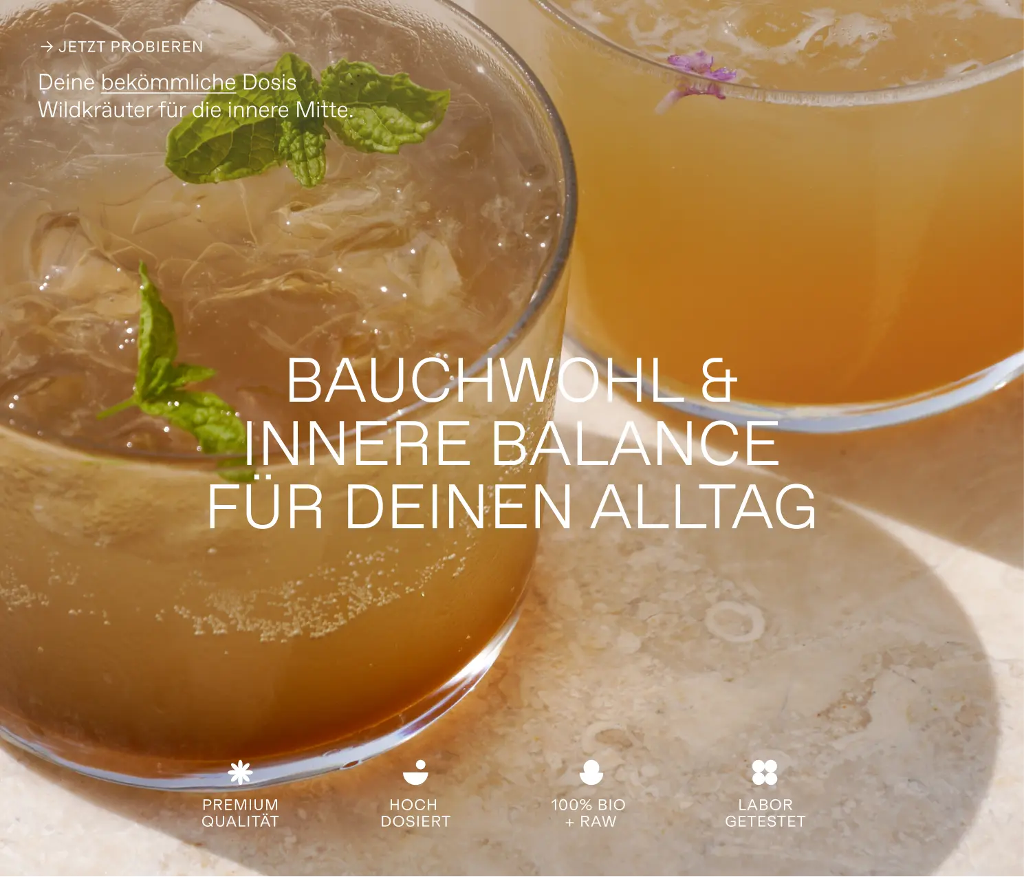 Bauchwohl-Oxymel-Set