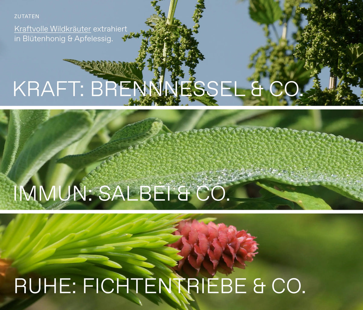Alle Fünf