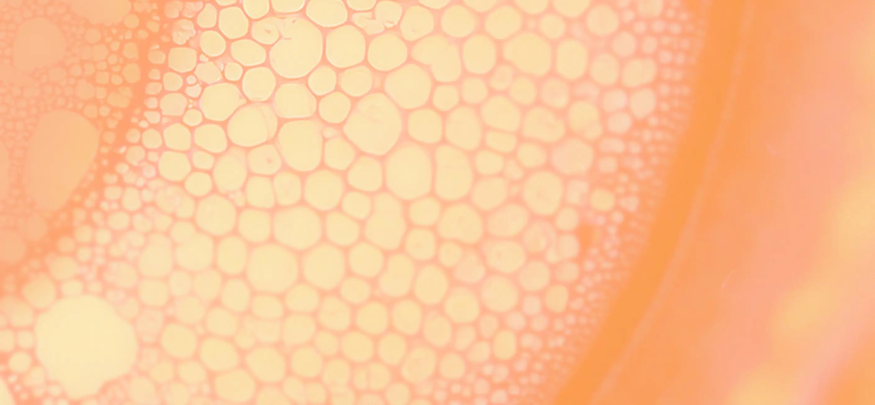 science+plants image