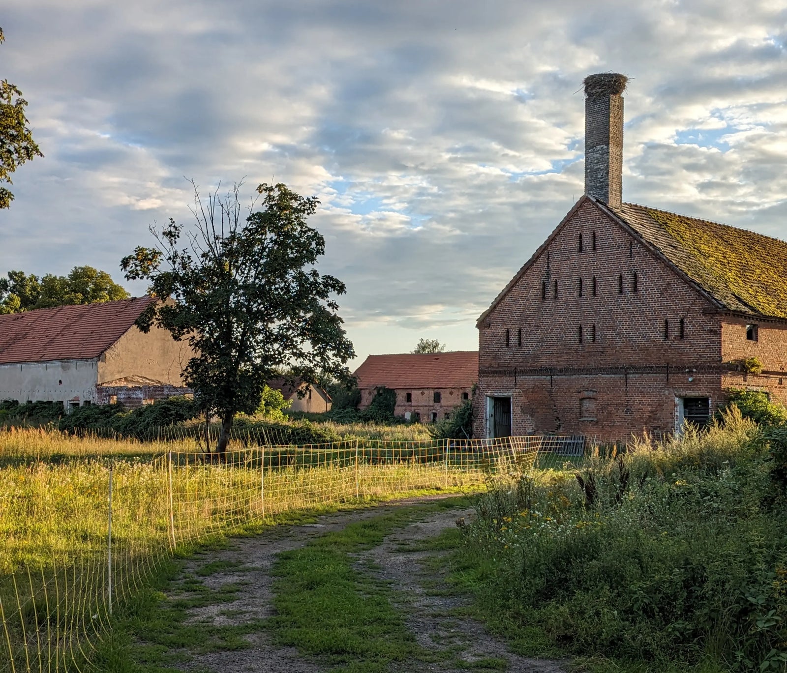 Wanderung-Special Albertinenhof 1.8.