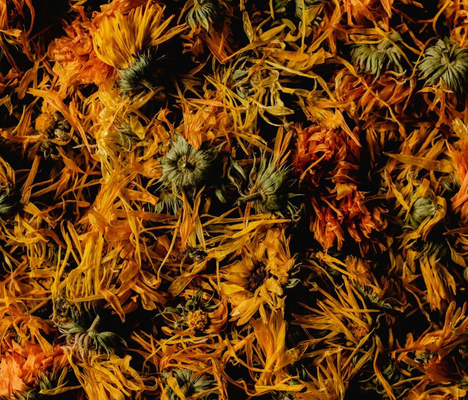 Herbst Hausapotheke Workshop am 16.10.