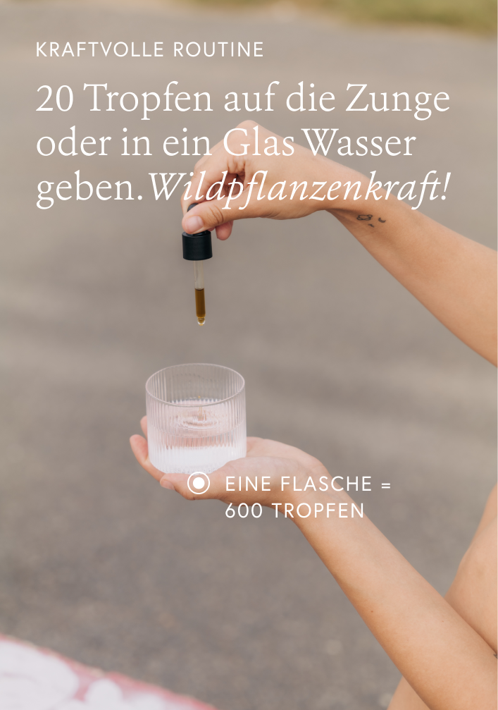 Recharge Testprodukt
