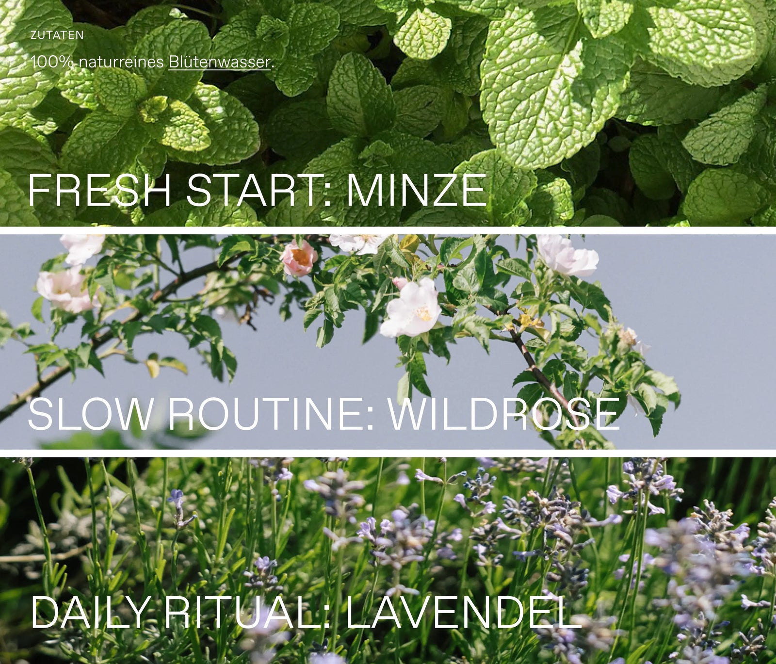 Hydrolate-Set