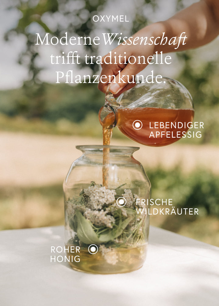 Wohl