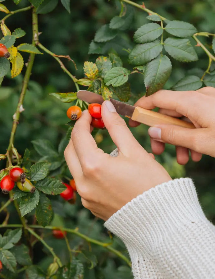 Winter-Immun-Routine