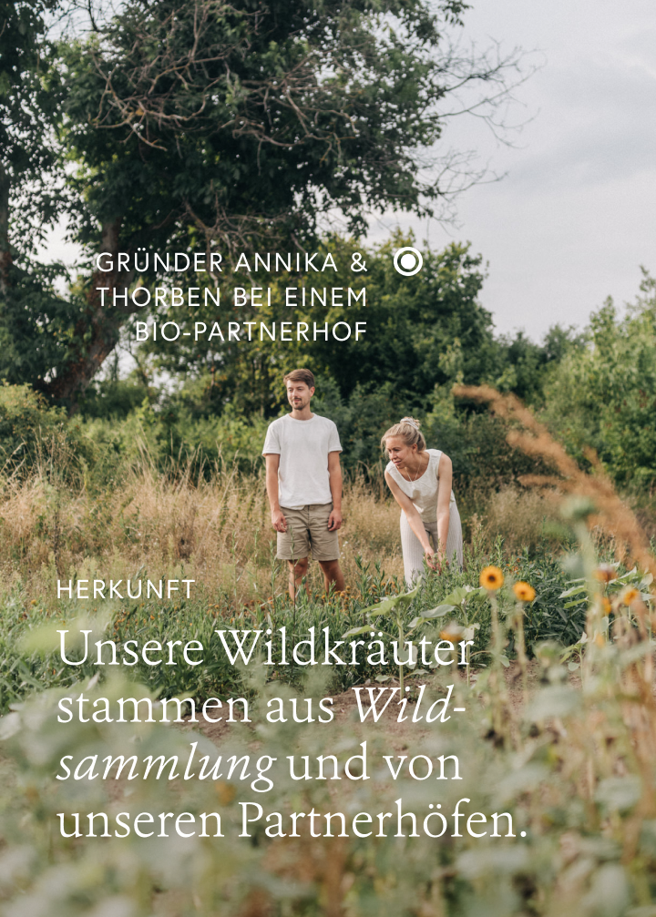 Wohl