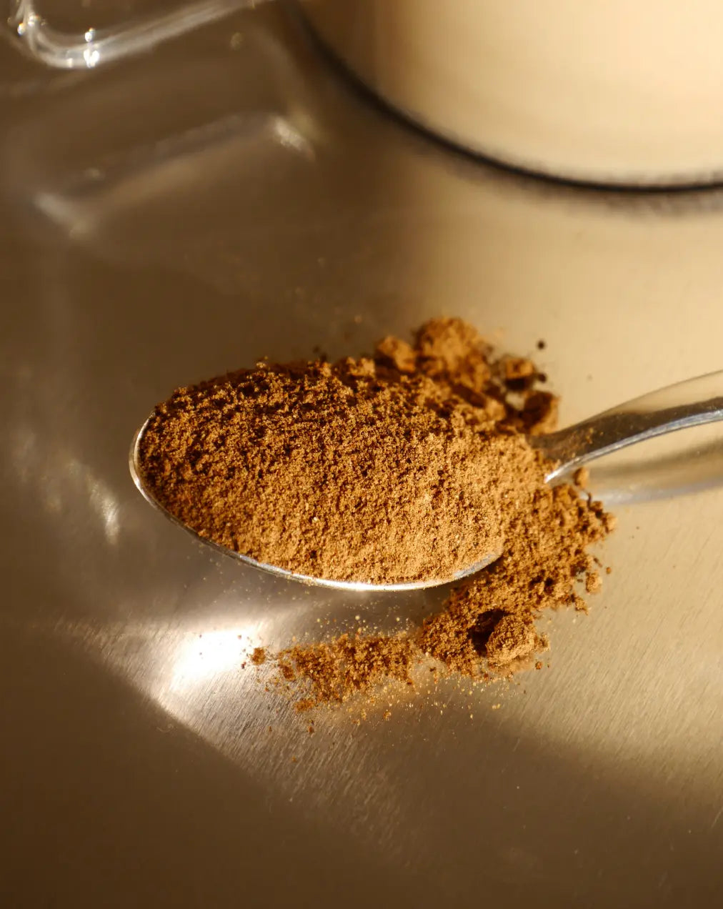 Chaga Pilz
