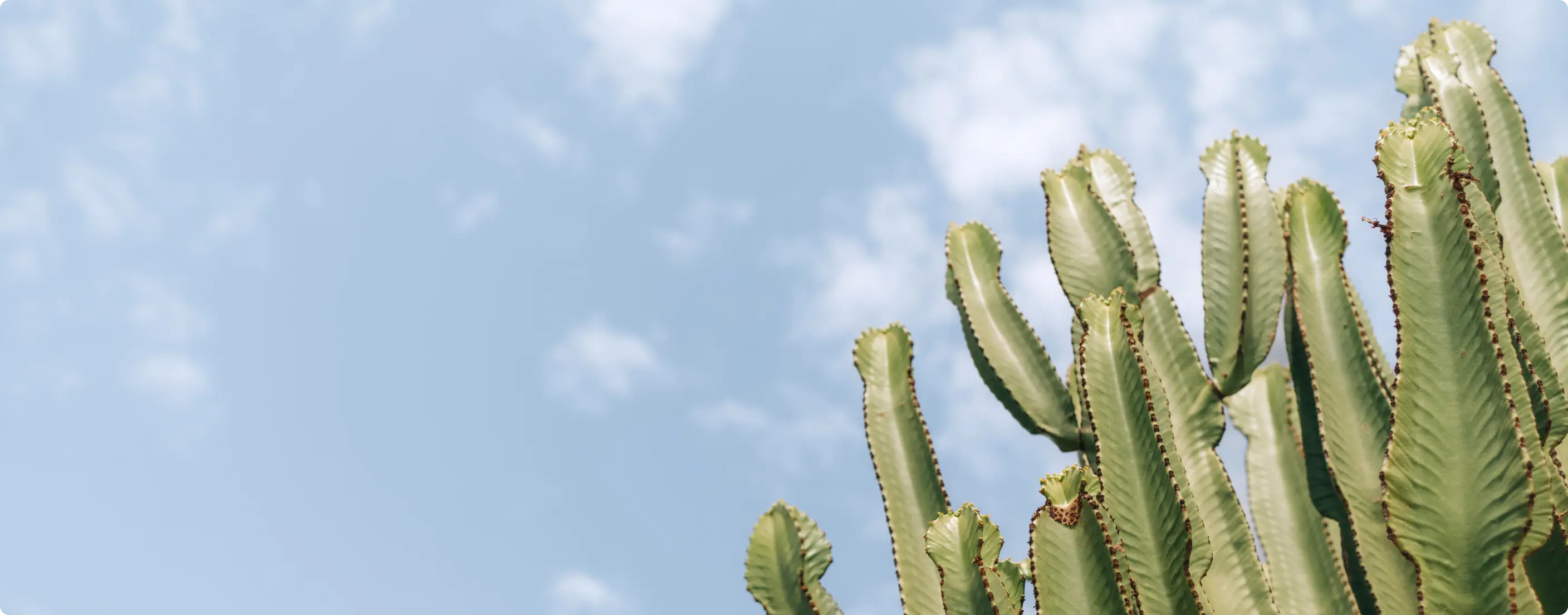 science+plants image