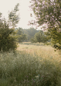 Wilde Herbstwanderung